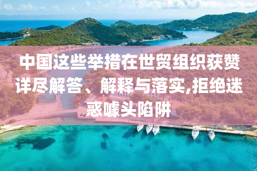 中國這些舉措在世貿組織獲贊詳盡解答、解釋與落實,拒絕迷惑噱頭陷阱