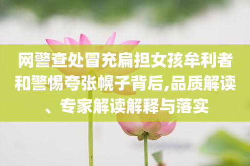 網警查處冒充扁擔女孩牟利者和警惕夸張幌子背后,品質解讀、專家解讀解釋與落實