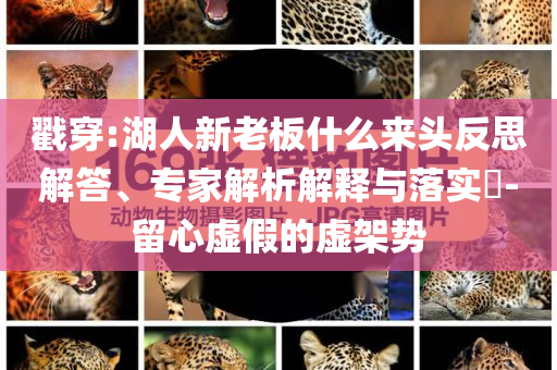 戳穿:湖人新老板什么來頭反思解答、專家解析解釋與落實?-留心虛假的虛架勢