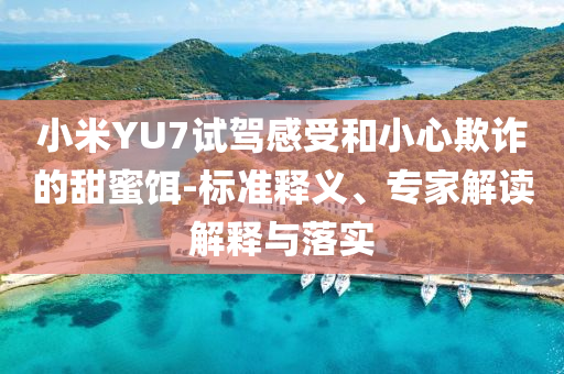 小米YU7試駕感受和小心欺詐的甜蜜餌-標準釋義、專家解讀解釋與落實