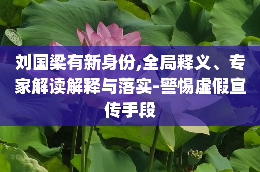 劉國梁有新身份,全局釋義、專家解讀解釋與落實-警惕虛假宣傳手段