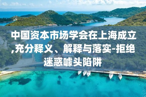 中國資本市場學會在上海成立,充分釋義、解釋與落實-拒絕迷惑噱頭陷阱