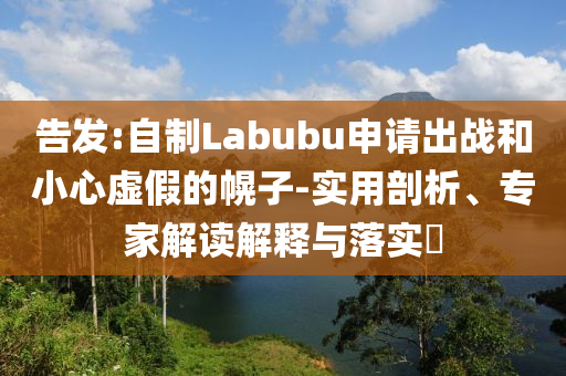 告發:自制Labubu申請出戰和小心虛假的幌子-實用剖析、專家解讀解釋與落實?