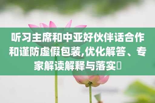聽習主席和中亞好伙伴話合作和謹防虛假包裝,優化解答、專家解讀解釋與落實?