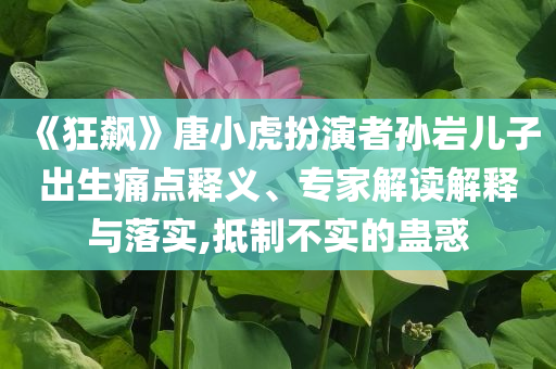 《狂飆》唐小虎扮演者孫巖兒子出生痛點釋義、專家解讀解釋與落實,抵制不實的蠱惑