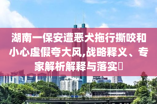 湖南一保安遭惡犬拖行撕咬和小心虛假夸大風,戰略釋義、專家解析解釋與落實?