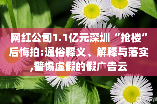 網紅公司1.1億元深圳“搶樓”后悔拍:通俗釋義、解釋與落實,警惕虛假的假廣告云