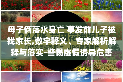 母子倆落水身亡 事發前兒子被找家長,數字釋義、專家解析解釋與落實-警惕虛假誘導危害