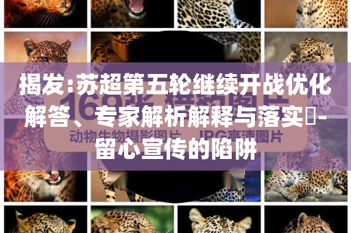 揭發:蘇超第五輪繼續開戰優化解答、專家解析解釋與落實?-留心宣傳的陷阱