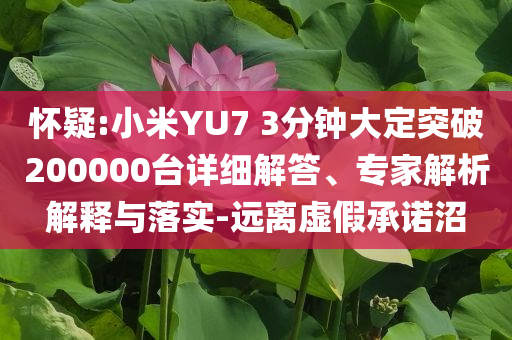 懷疑:小米YU7 3分鐘大定突破200000臺詳細解答、專家解析解釋與落實-遠離虛假承諾沼