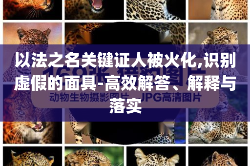 king擺渡 第650頁