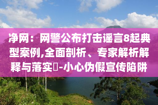 凈網：網警公布打擊謠言8起典型案例,全面剖析、專家解析解釋與落實?-小心偽假宣傳陷阱