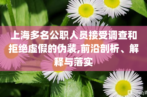 上海多名公職人員接受調(diào)查和拒絕虛假的偽裝,前沿剖析、解釋與落實