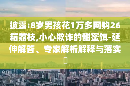 披露:8歲男孩花1萬多網購26箱荔枝,小心欺詐的甜蜜餌-延伸解答、專家解析解釋與落實?