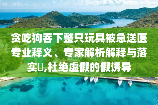 貪吃狗吞下整只玩具被急送醫(yī)專業(yè)釋義、專家解析解釋與落實?,杜絕虛假的假誘導(dǎo)