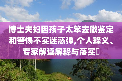 博士夫婦因孩子太笨去做鑒定和警惕不實迷惑彈,個人釋義、專家解讀解釋與落實?