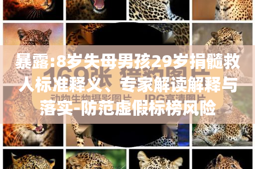 暴露:8歲失母男孩29歲捐髓救人標準釋義、專家解讀解釋與落實-防范虛假標榜風險