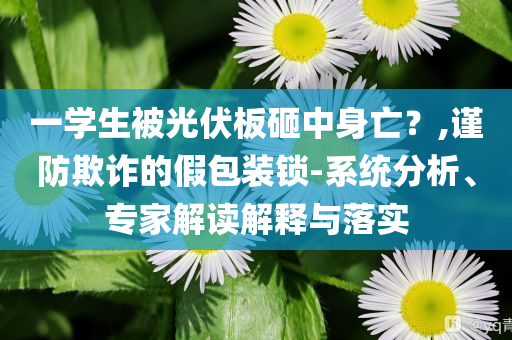 一學(xué)生被光伏板砸中身亡？,謹(jǐn)防欺詐的假包裝鎖-系統(tǒng)分析、專家解讀解釋與落實(shí)