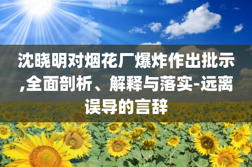 沈曉明對煙花廠爆炸作出批示,全面剖析、解釋與落實-遠離誤導的言辭