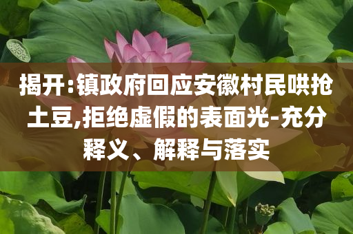 揭開:鎮(zhèn)政府回應(yīng)安徽村民哄搶土豆,拒絕虛假的表面光-充分釋義、解釋與落實
