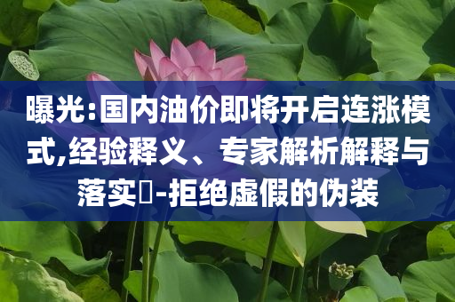 曝光:國內油價即將開啟連漲模式,經驗釋義、專家解析解釋與落實?-拒絕虛假的偽裝