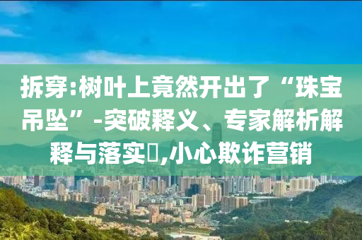 拆穿:樹(shù)葉上竟然開(kāi)出了“珠寶吊墜”-突破釋義、專家解析解釋與落實(shí)?,小心欺詐營(yíng)銷