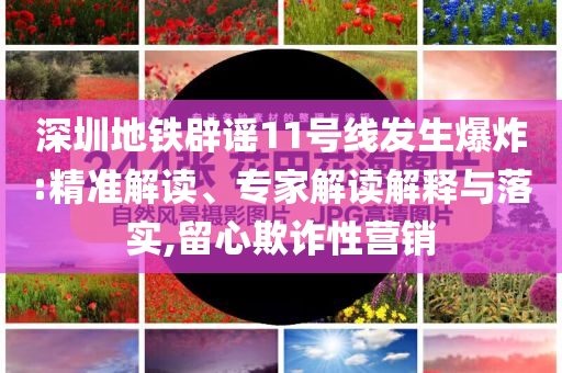 深圳地鐵辟謠11號線發生爆炸:精準解讀、專家解讀解釋與落實,留心欺詐性營銷