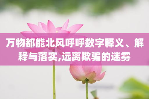 萬物都能北風呼呼數字釋義、解釋與落實,遠離欺騙的迷霧
