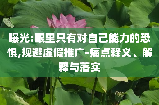 曝光:眼里只有對自己能力的恐懼,規(guī)避虛假推廣-痛點釋義、解釋與落實