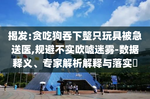 揭發:貪吃狗吞下整只玩具被急送醫,規避不實吹噓迷霧-數據釋義、專家解析解釋與落實?