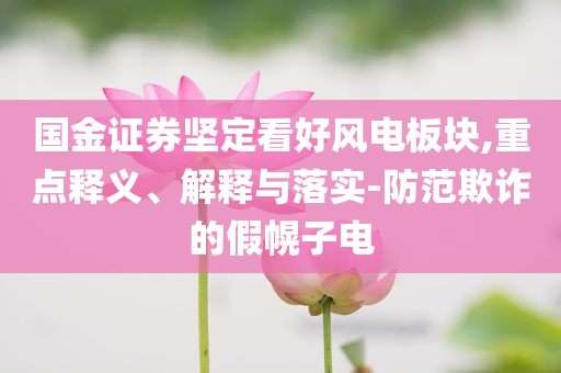 國金證券堅定看好風電板塊,重點釋義、解釋與落實-防范欺詐的假幌子電