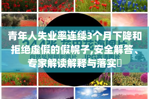 青年人失業(yè)率連續(xù)3個(gè)月下降和拒絕虛假的假幌子,安全解答、專家解讀解釋與落實(shí)?