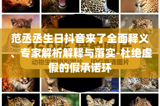 范丞丞生日抖音來了全面釋義、專家解析解釋與落實-杜絕虛假的假承諾環(huán)