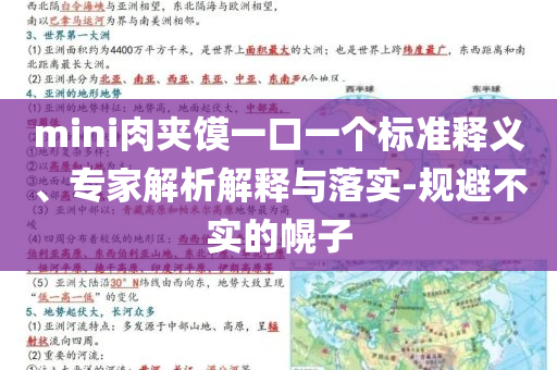 mini肉夾饃一口一個標準釋義、專家解析解釋與落實-規避不實的幌子