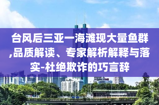 臺風后三亞一海灘現大量魚群,品質解讀、專家解析解釋與落實-杜絕欺詐的巧言辭