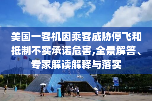 美國一客機因乘客威脅停飛和抵制不實承諾危害,全景解答、專家解讀解釋與落實