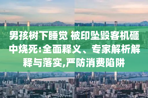 男孩樹下睡覺 被印墜毀客機砸中燒死:全面釋義、專家解析解釋與落實,嚴防消費陷阱