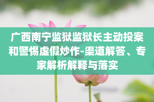 廣西南寧監獄監獄長主動投案和警惕虛假炒作-渠道解答、專家解析解釋與落實