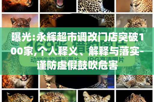 曝光:永輝超市調改門店突破100家,個人釋義、解釋與落實-謹防虛假鼓吹危害