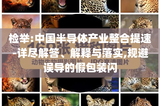 檢舉:中國半導體產業整合提速-詳盡解答、解釋與落實,規避誤導的假包裝閃