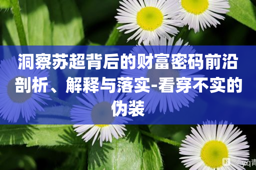 洞察蘇超背后的財富密碼前沿剖析、解釋與落實-看穿不實的偽裝