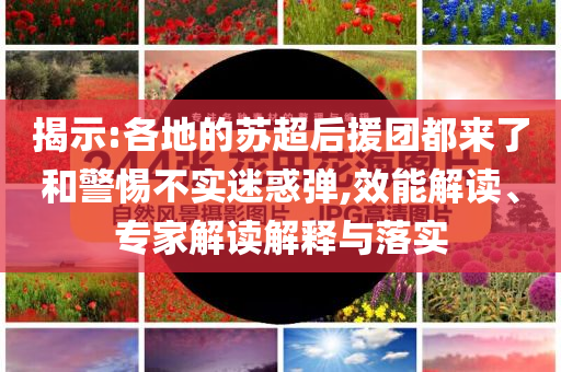 揭示:各地的蘇超后援團都來了和警惕不實迷惑彈,效能解讀、專家解讀解釋與落實