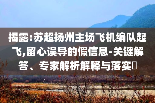 揭露:蘇超揚州主場飛機編隊起飛,留心誤導的假信息-關鍵解答、專家解析解釋與落實?