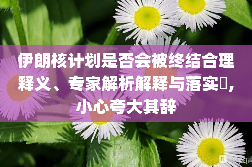 伊朗核計劃是否會被終結合理釋義、專家解析解釋與落實?,小心夸大其辭