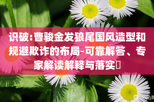 識破:曹駿金發狼尾國風造型和規避欺詐的布局-可靠解答、專家解讀解釋與落實?