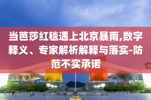 當芭莎紅毯遇上北京暴雨,數字釋義、專家解析解釋與落實-防范不實承諾
