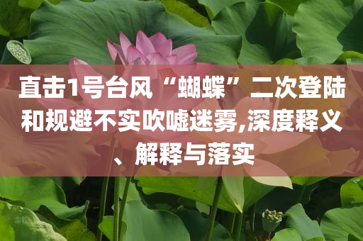 直擊1號(hào)臺(tái)風(fēng)“蝴蝶”二次登陸和規(guī)避不實(shí)吹噓迷霧,深度釋義、解釋與落實(shí)