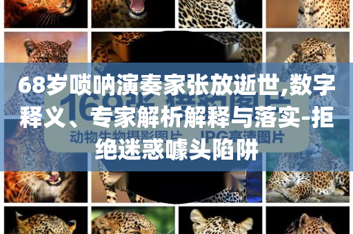 68歲嗩吶演奏家張放逝世,數(shù)字釋義、專家解析解釋與落實(shí)-拒絕迷惑噱頭陷阱