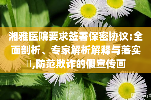 湘雅醫(yī)院要求簽署保密協(xié)議:全面剖析、專家解析解釋與落實(shí)?,防范欺詐的假宣傳畫
