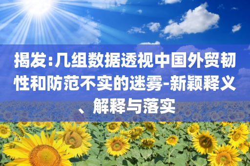 揭發(fā):幾組數(shù)據(jù)透視中國外貿(mào)韌性和防范不實的迷霧-新穎釋義、解釋與落實